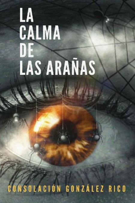 La calma de las arañas