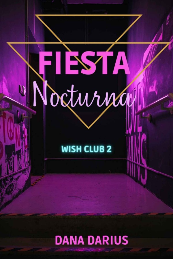 Fiesta nocturna