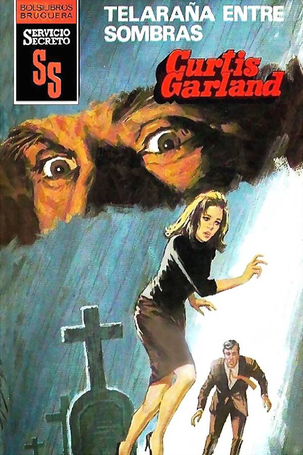 Telaraña entre sombras