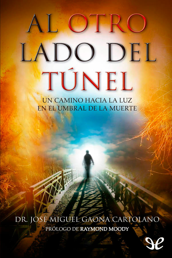 Al otro lado del túnel