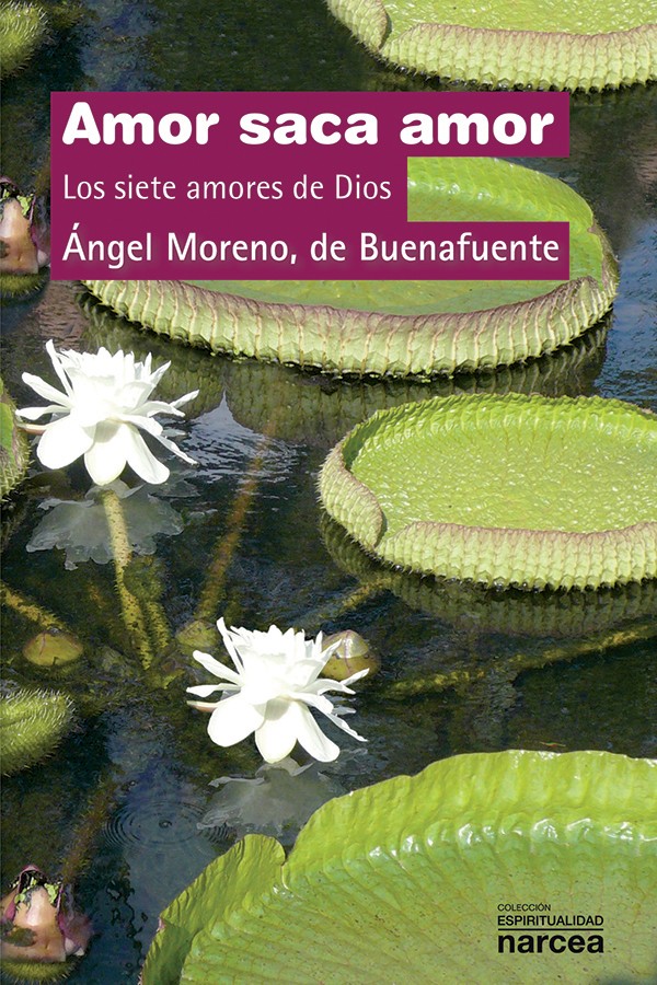 Amor saca amor: Los siete amores de Dios