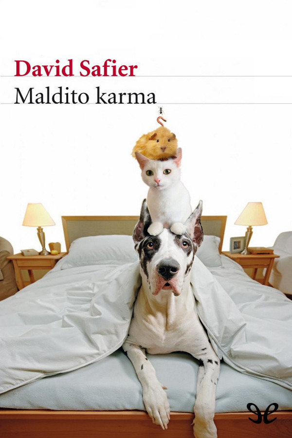 Maldito karma