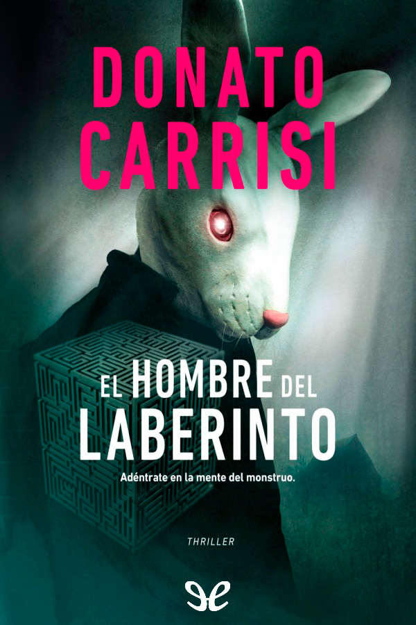 El hombre del laberinto