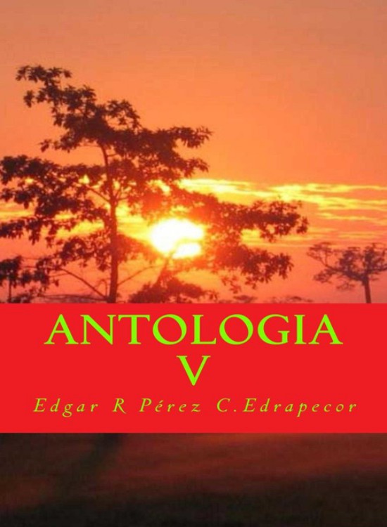 Antologia V. Vol. 1